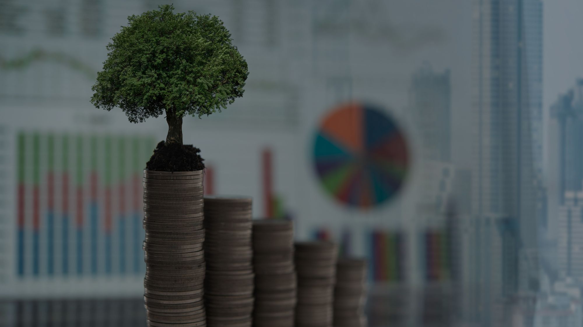 Investir à Bali en leasehold