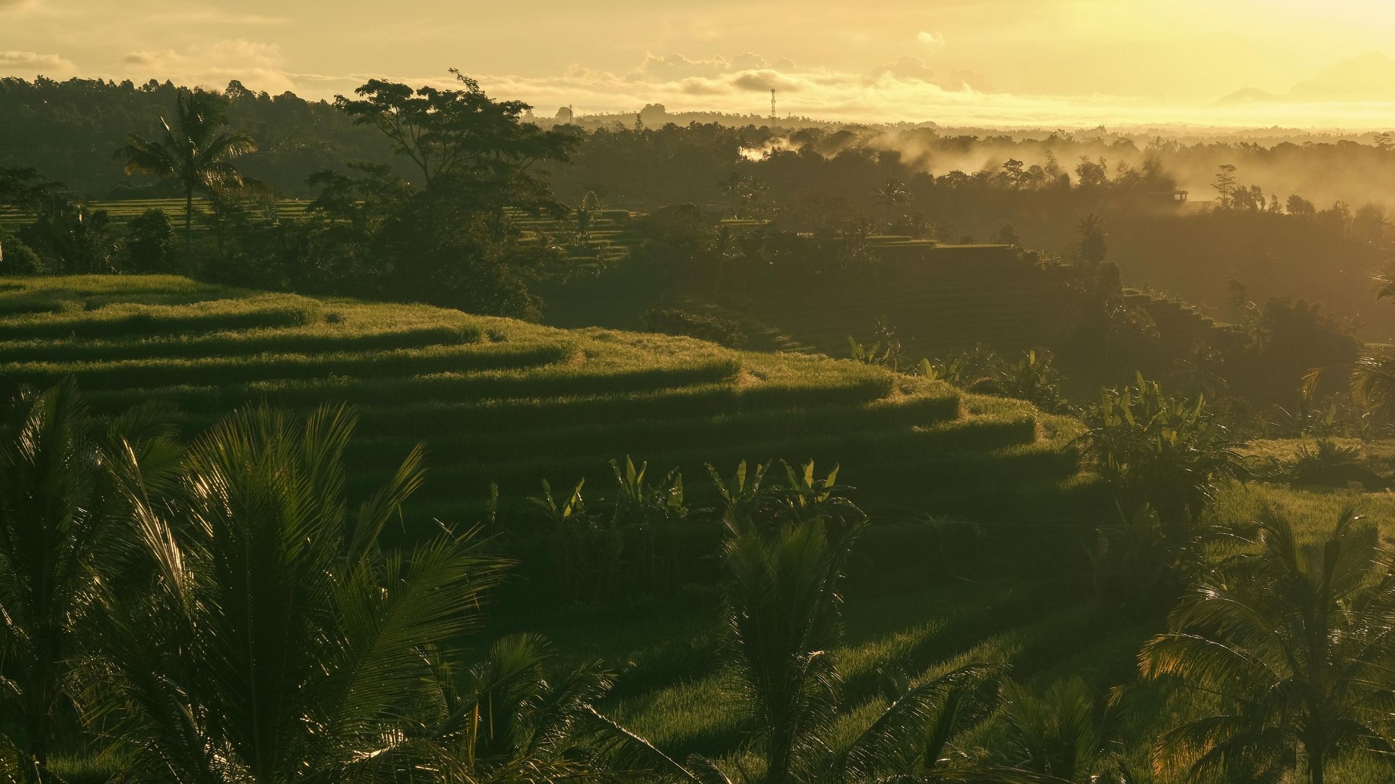investir a bali
